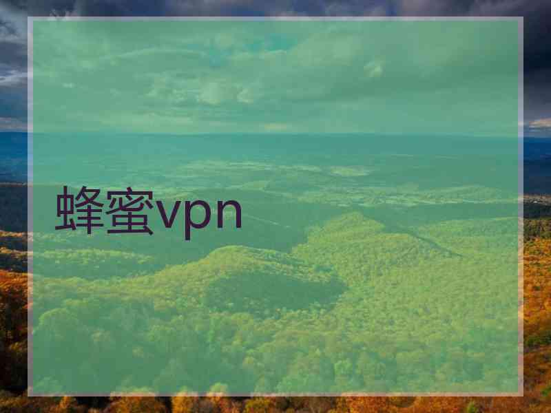 蜂蜜vpn