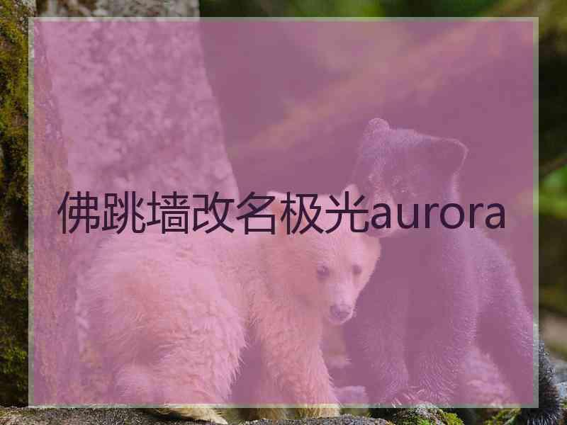 佛跳墙改名极光aurora