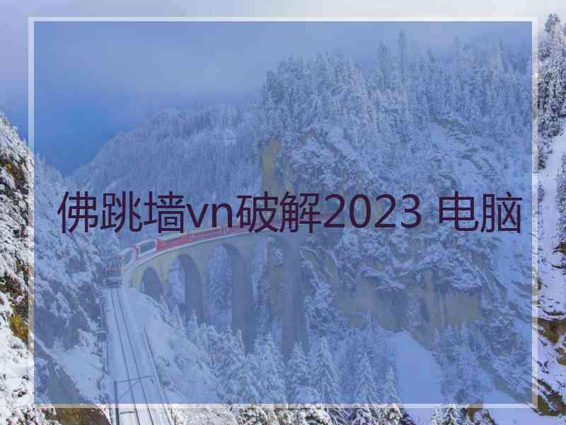 佛跳墙vn破解2023 电脑