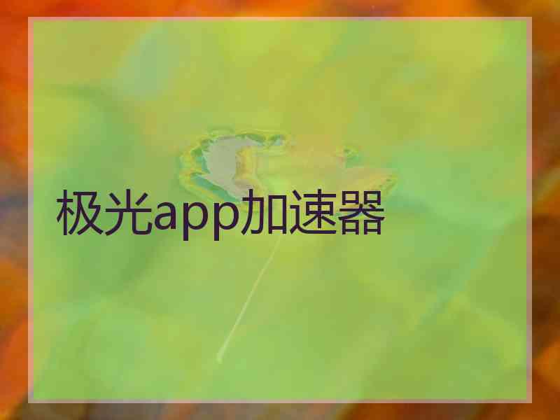 极光app加速器