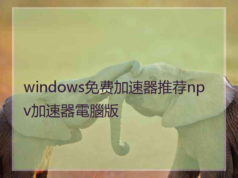 windows免费加速器推荐npv加速器電腦版