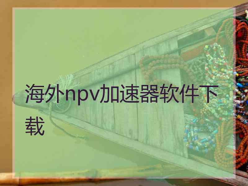 海外npv加速器软件下载