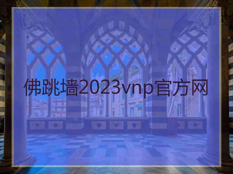 佛跳墙2023vnp官方网