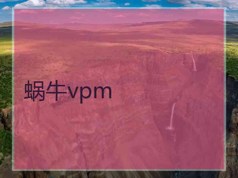 蜗牛vpm