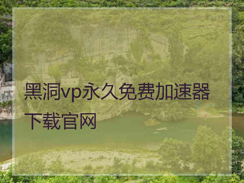 黑洞vp永久免费加速器下载官网