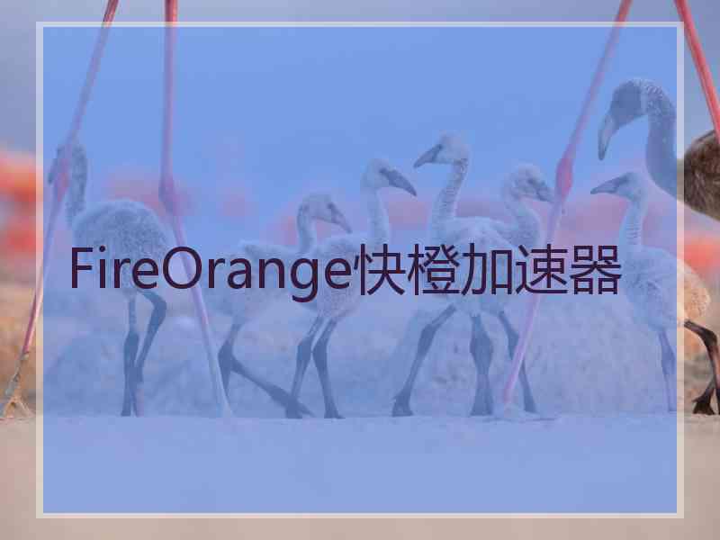 FireOrange快橙加速器