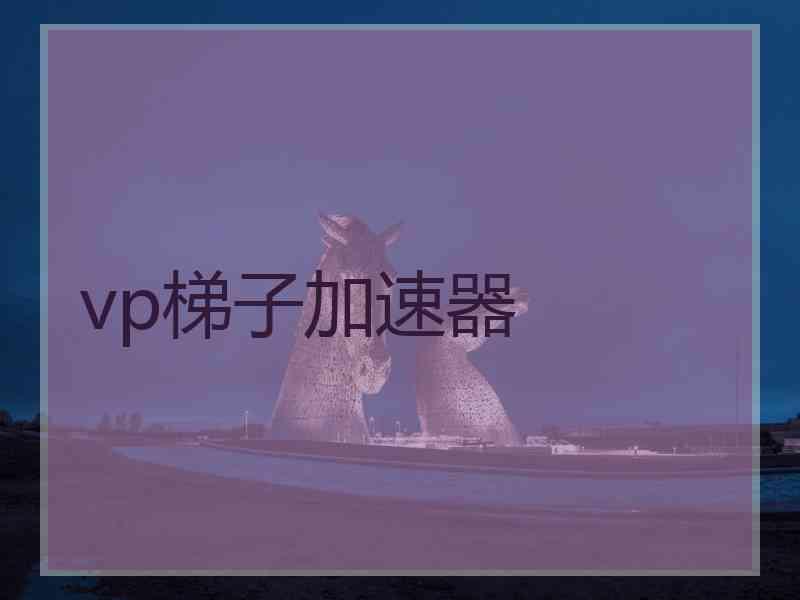 vp梯子加速器