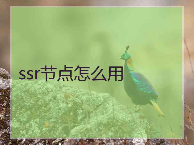 ssr节点怎么用