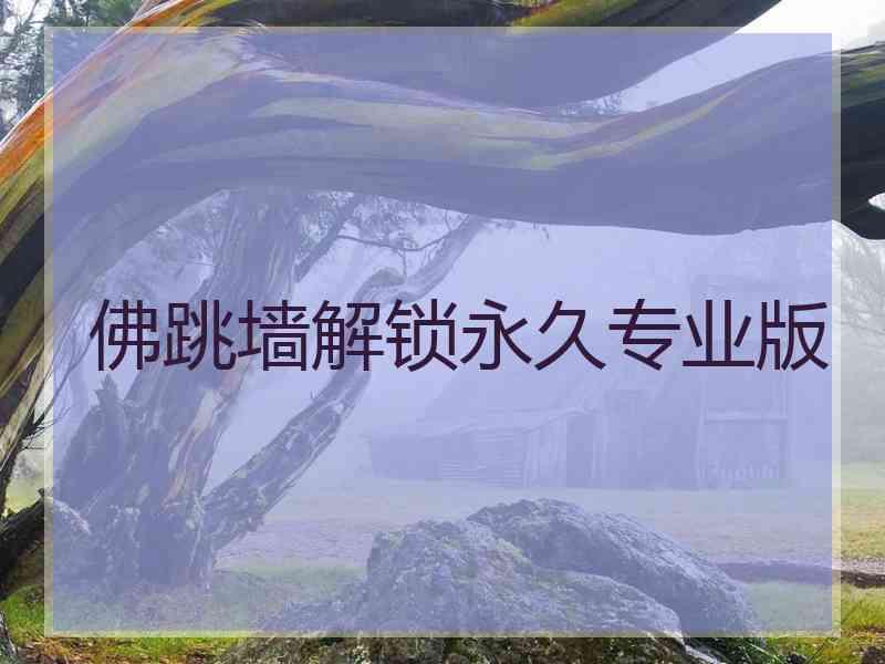 佛跳墙解锁永久专业版