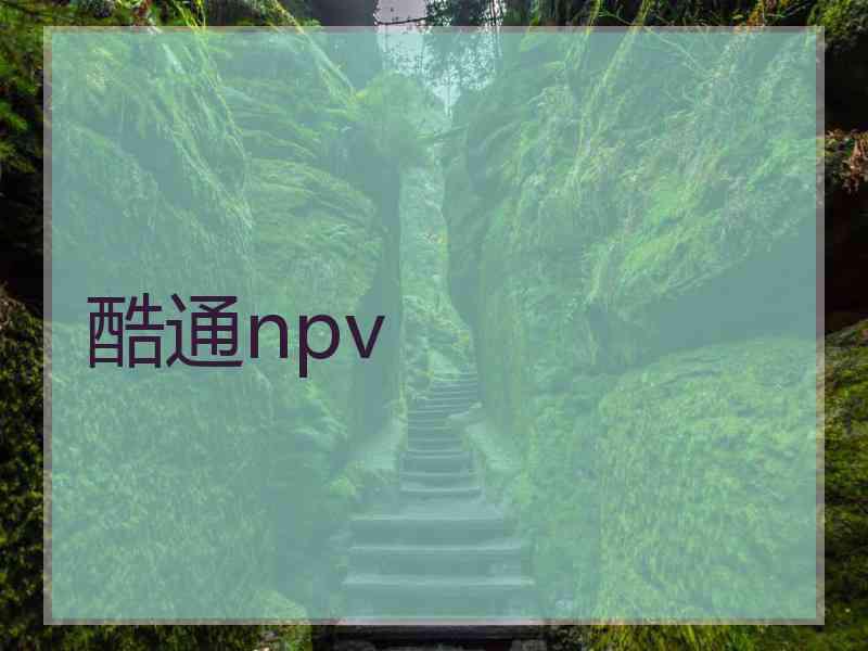 酷通npv