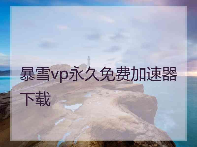 暴雪vp永久免费加速器下载