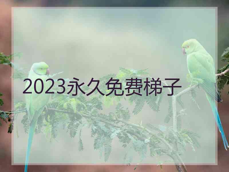 2023永久免费梯子