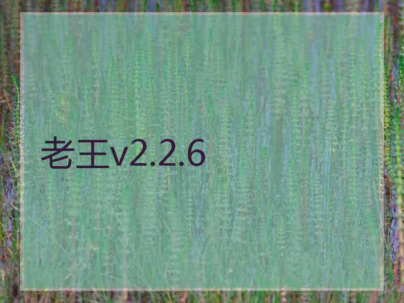 老王v2.2.6