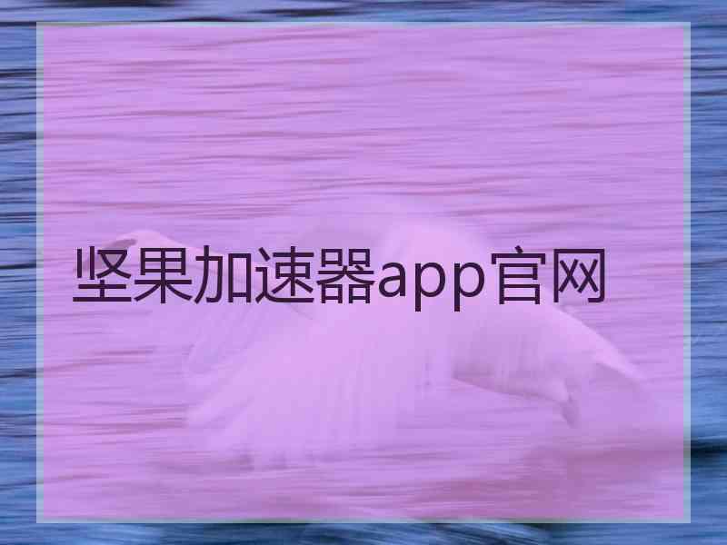 坚果加速器app官网