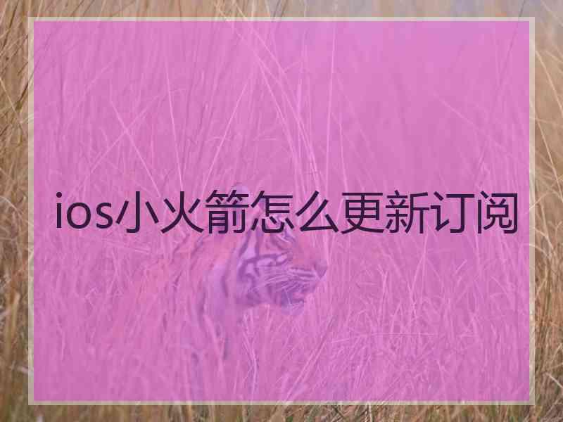 ios小火箭怎么更新订阅