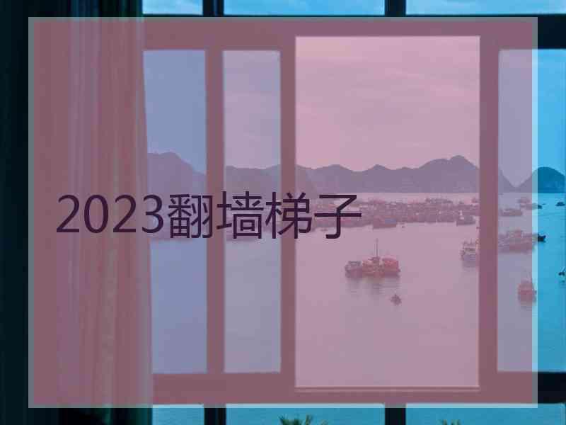 2023翻墙梯子