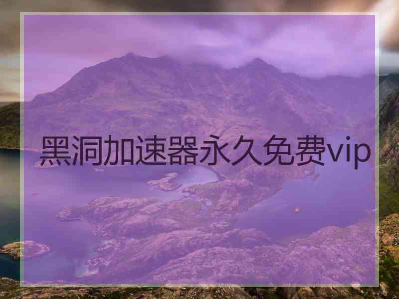 黑洞加速器永久免费vip