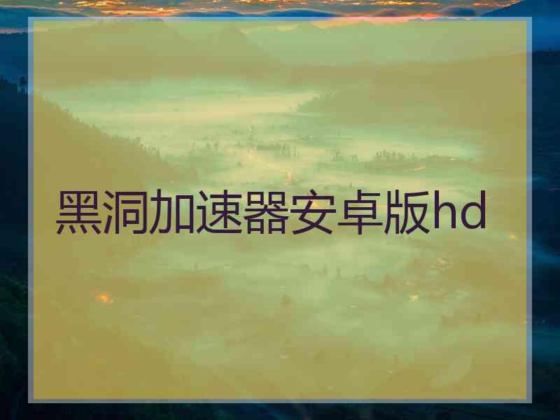 黑洞加速器安卓版hd