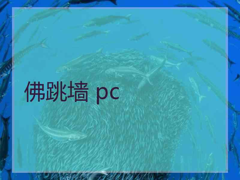 佛跳墙 pc