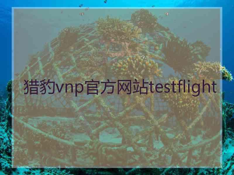 猎豹vnp官方网站testflight