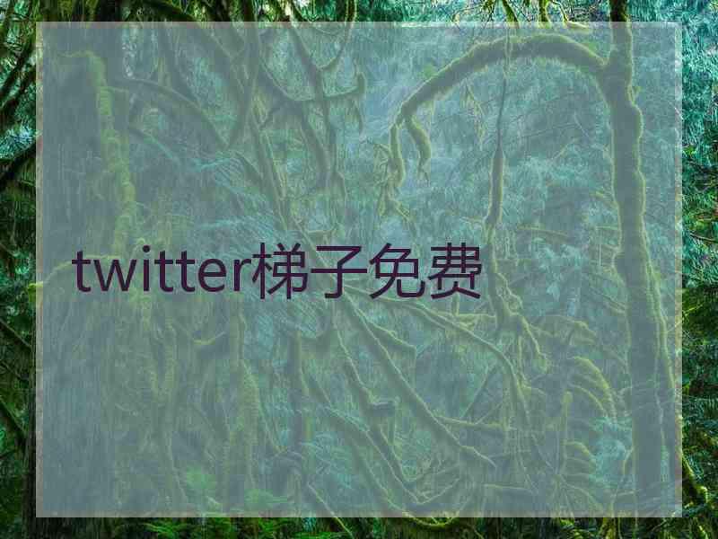 twitter梯子免费