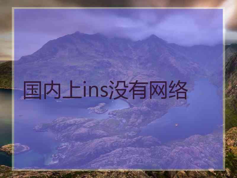 国内上ins没有网络