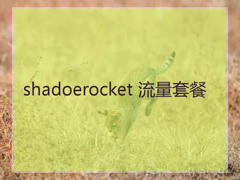 shadoerocket 流量套餐