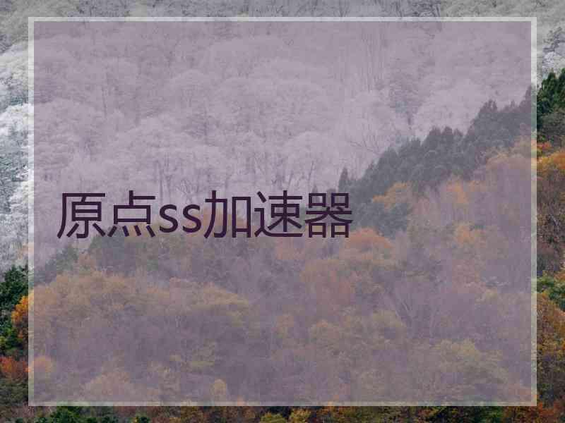 原点ss加速器