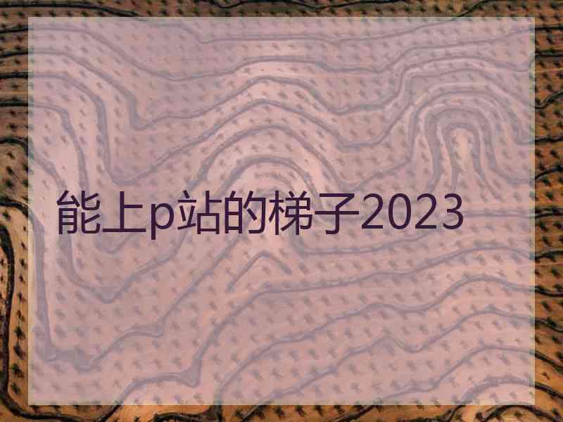 能上p站的梯子2023