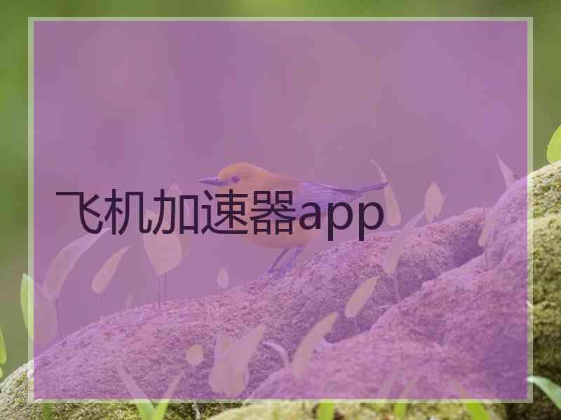 飞机加速器app