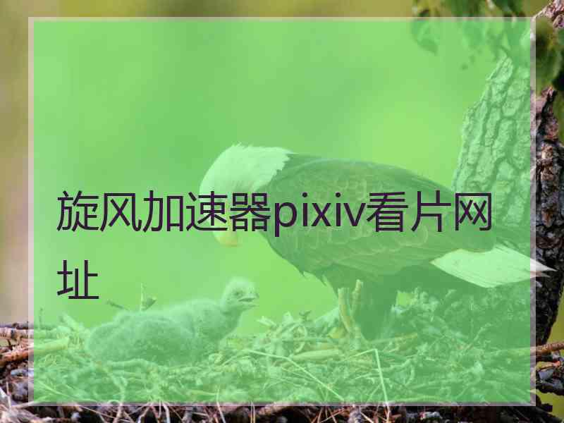 旋风加速器pixiv看片网址