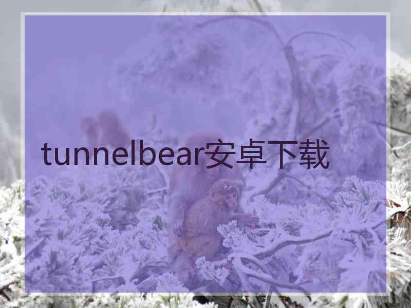 tunnelbear安卓下载