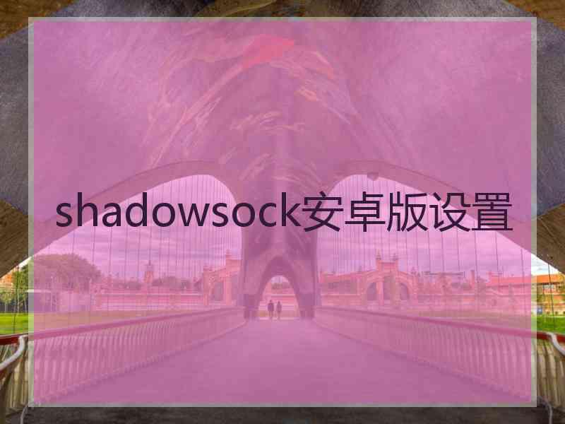 shadowsock安卓版设置