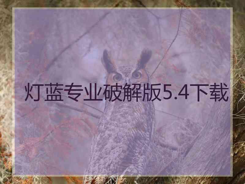 灯蓝专业破解版5.4下载