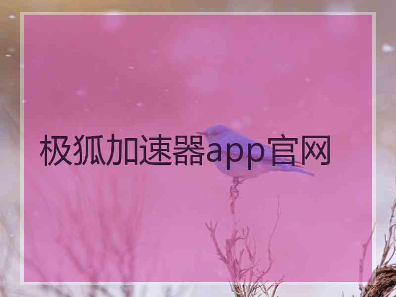 极狐加速器app官网