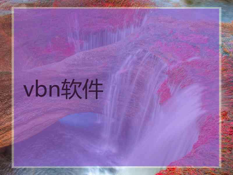 vbn软件