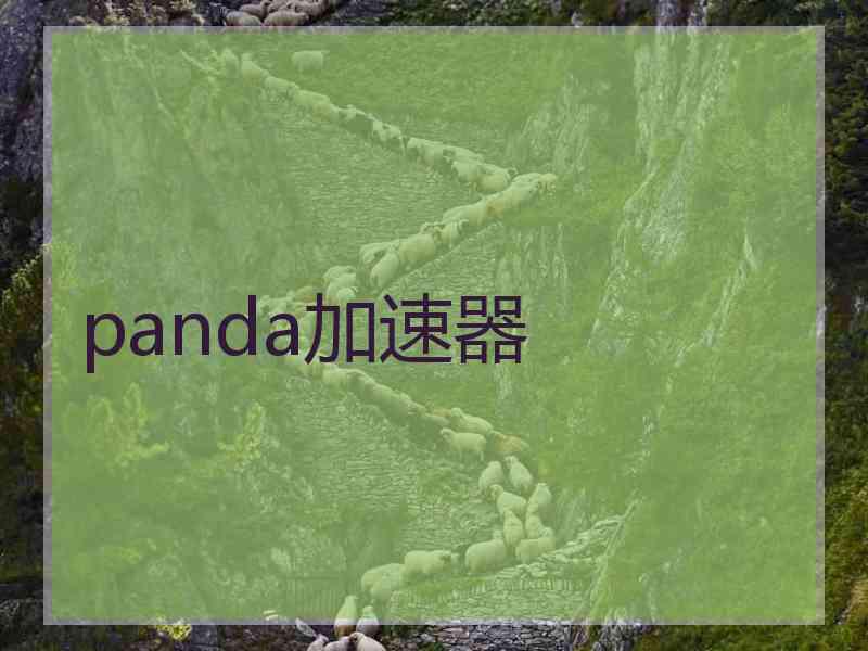 panda加速器