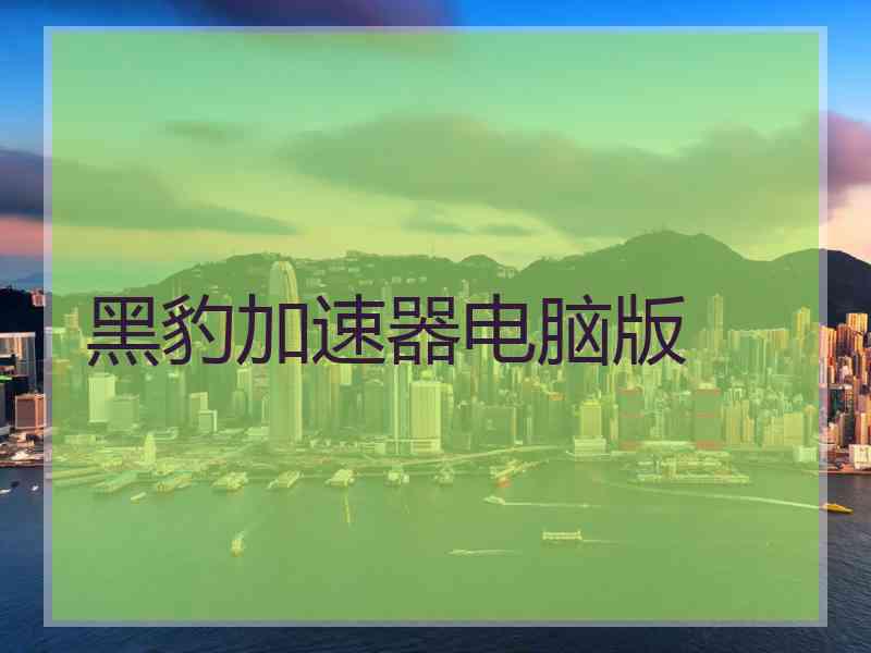 黑豹加速器电脑版