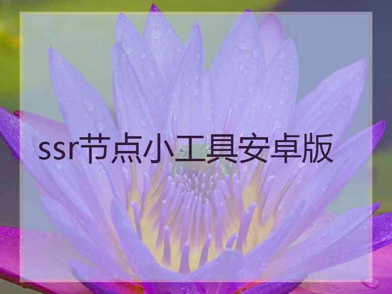 ssr节点小工具安卓版