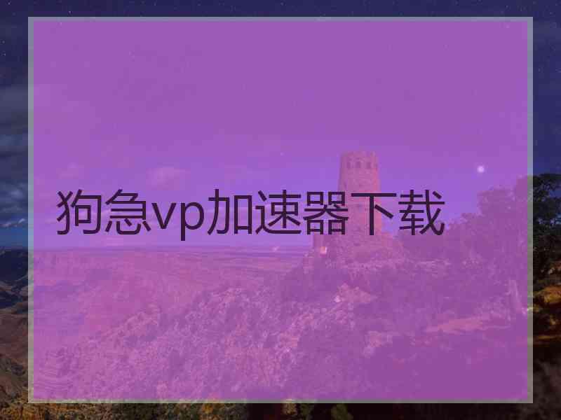 狗急vp加速器下载