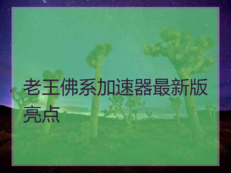 老王佛系加速器最新版亮点