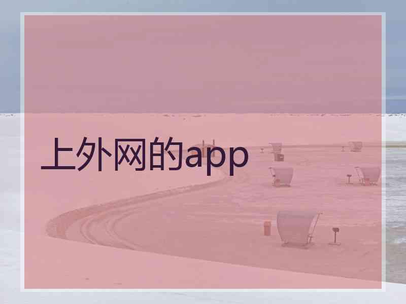 上外网的app