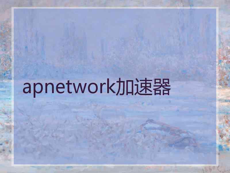 apnetwork加速器