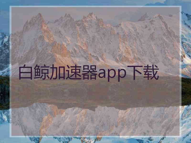 白鲸加速器app下载