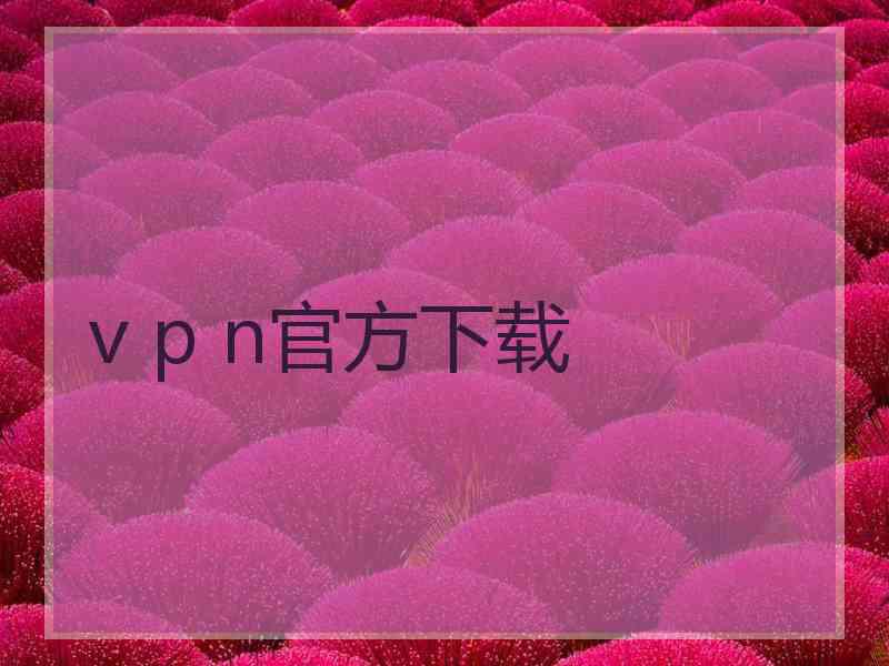 v p n官方下载