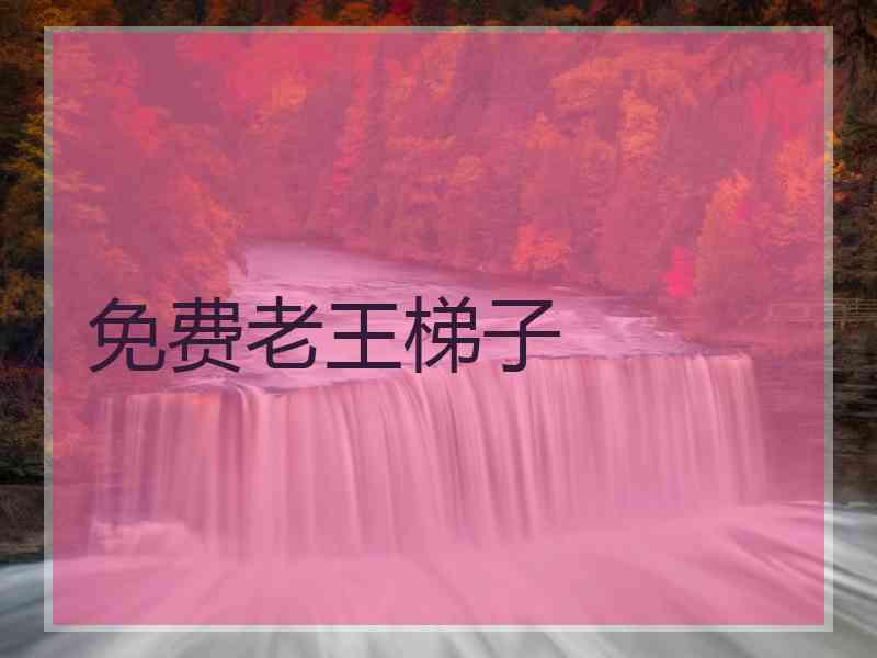 免费老王梯子