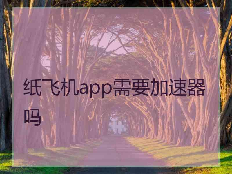 纸飞机app需要加速器吗