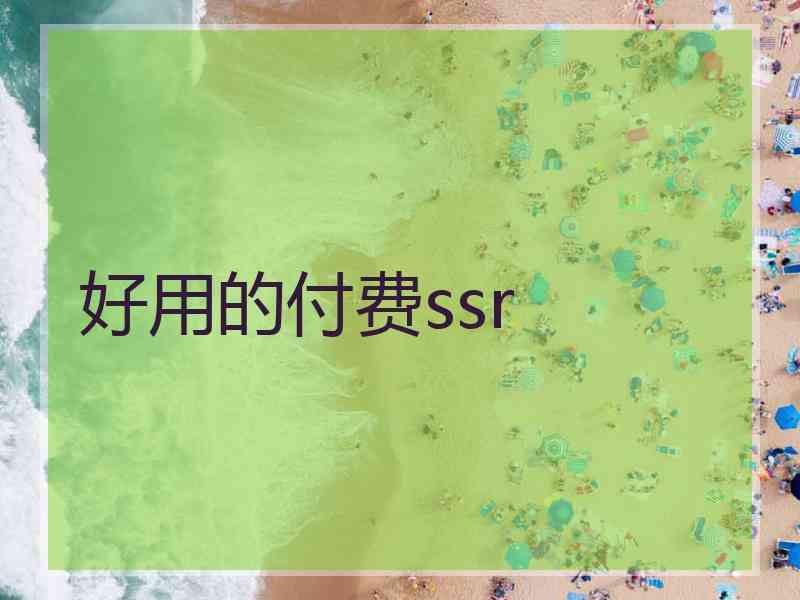 好用的付费ssr