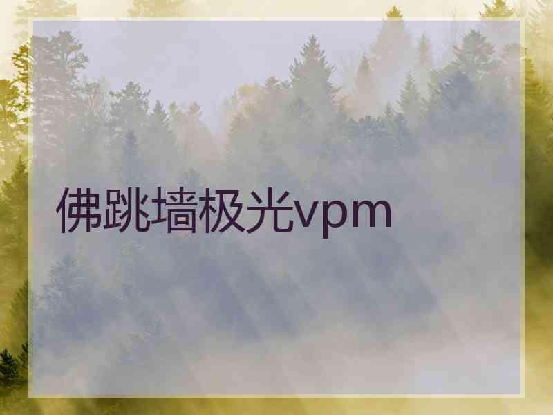 佛跳墙极光vpm