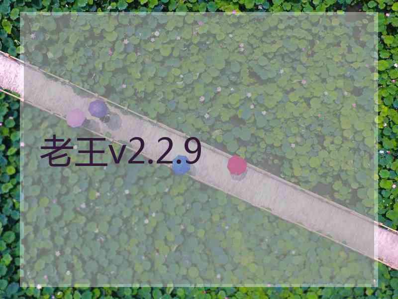 老王v2.2.9